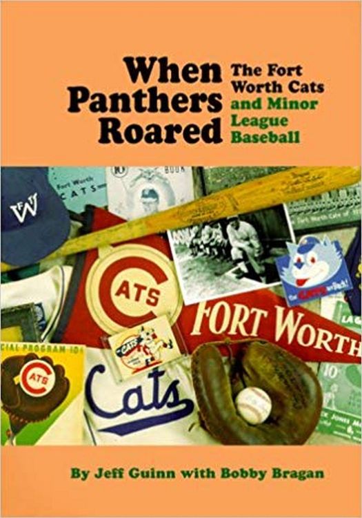 Produktbild: When Panthers Roared