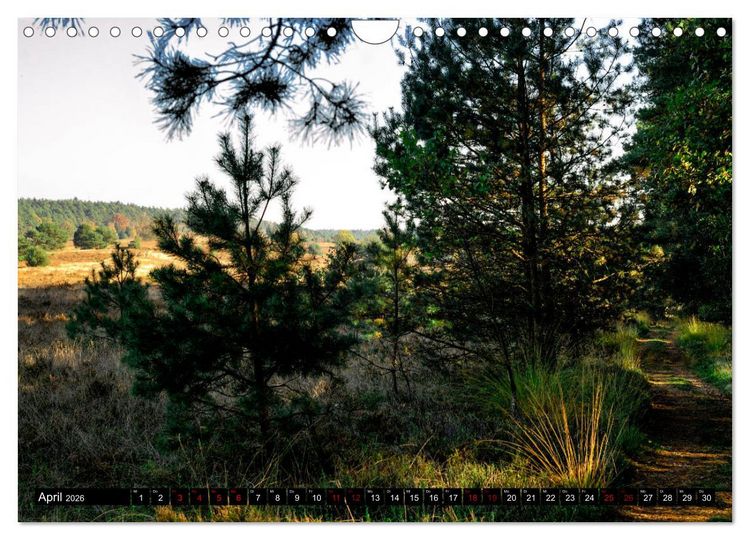 Produktbild: L&uuml;neburger Heide (Wandkalender 2026 DIN A4 quer), CALVENDO Monatskalender