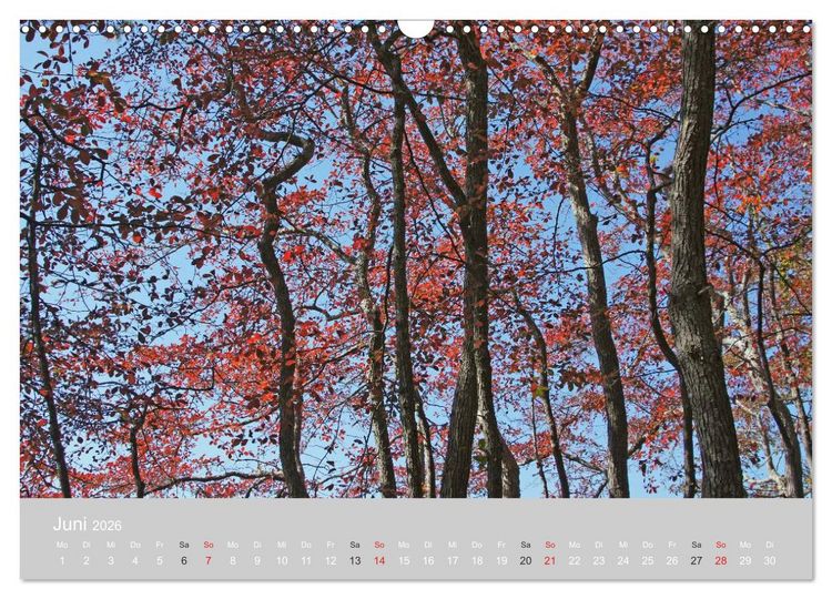 Produktbild: Indian Summer in New England (Wandkalender 2026 DIN A3 quer), CALVENDO Monatskalender