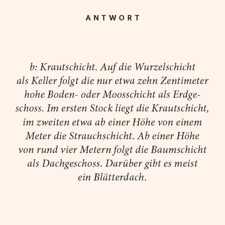 Produktbild: Wald-Quiz