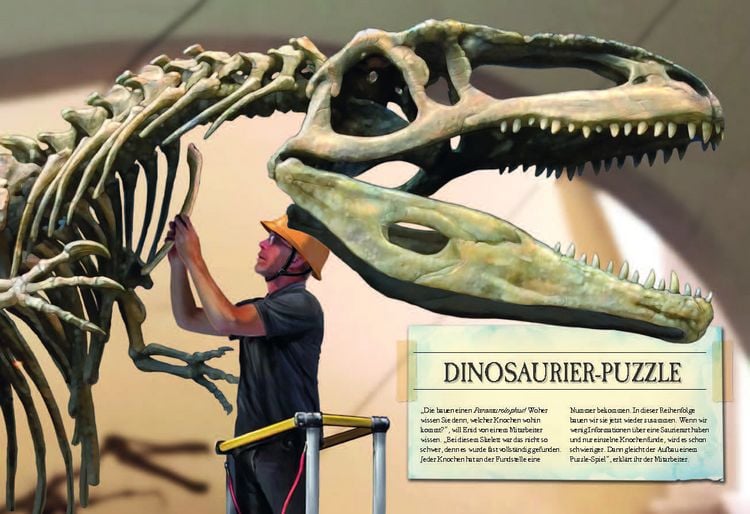 Produktbild: Verborgene Welt der Dinosaurier