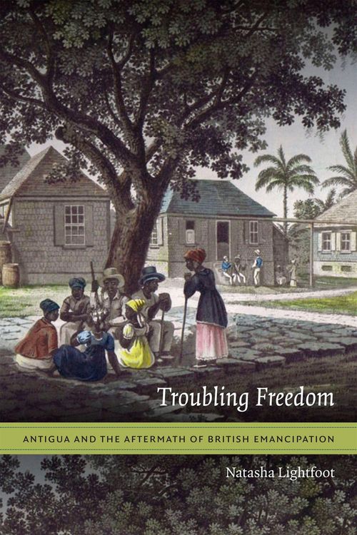 Produktbild: Troubling Freedom
