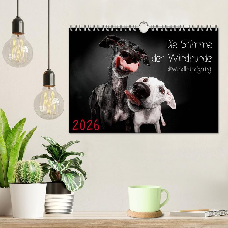Produktbild: Die Stimme der Windhunde (Wandkalender 2026 DIN A4 quer), CALVENDO Monatskalender