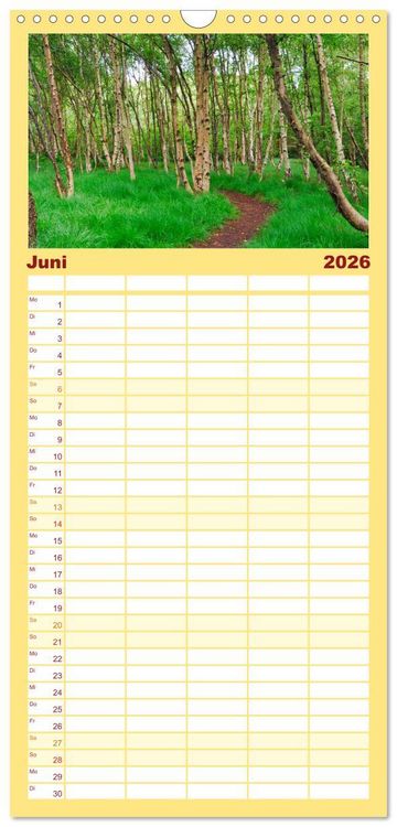 Produktbild: Familienplaner 2026 - Amrum mit 5 Spalten (Wandkalender, 21 x 45 cm) CALVENDO