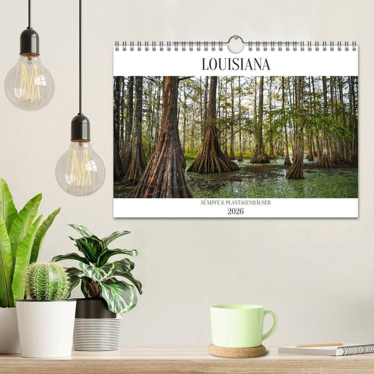 Produktbild: Louisiana - S&uuml;mpfe und Plantagenh&auml;user (Wandkalender 2026 DIN A4 quer), CALVENDO Monatskalender