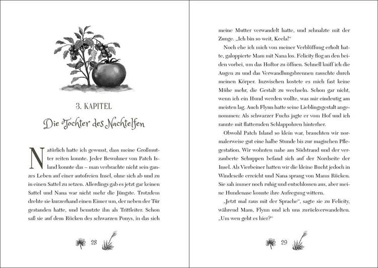 Produktbild: Ruby Fairygale (Band 5) - Der verbotene Zauber