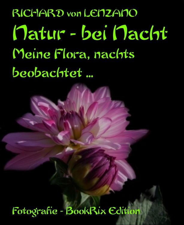 Produktbild: Natur - bei Nacht