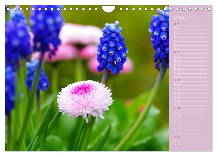 Produktbild: Blumenfreude (Wandkalender 2026 DIN A4 quer), CALVENDO Monatskalender