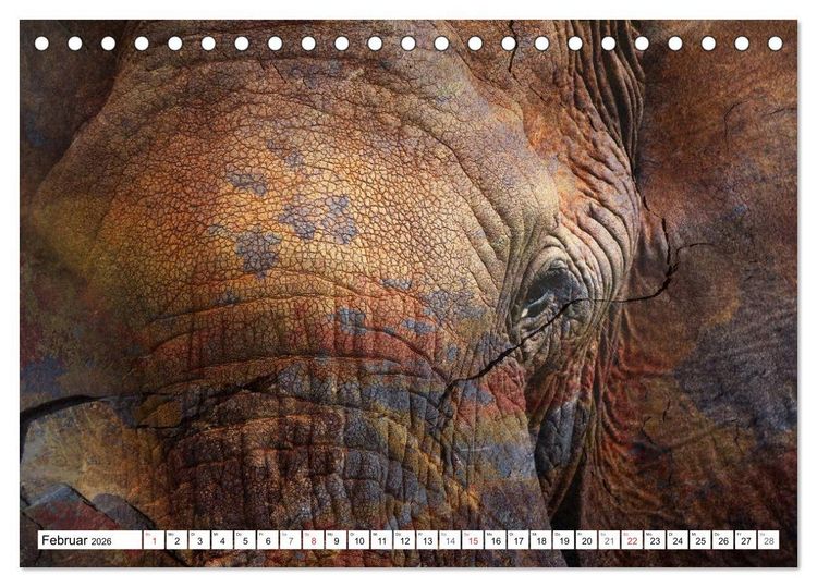 Produktbild: Emotionale Momente: African Dreams (Tischkalender 2026 DIN A5 quer), CALVENDO Monatskalender