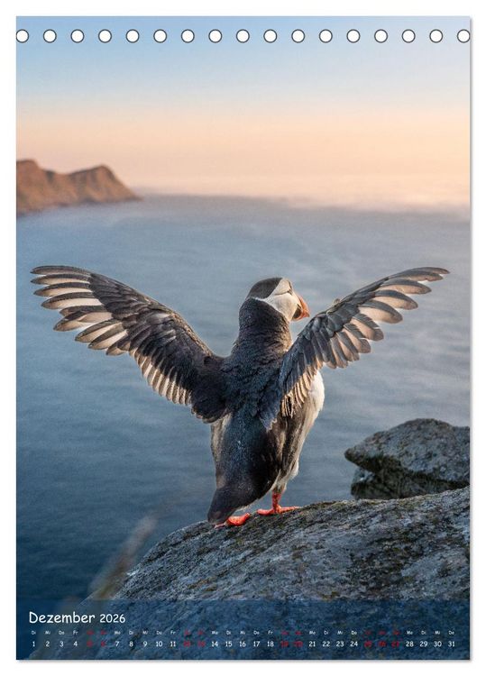 Produktbild: Naturerlebnis Puffin (Tischkalender 2026 DIN A5 hoch), CALVENDO Monatskalender