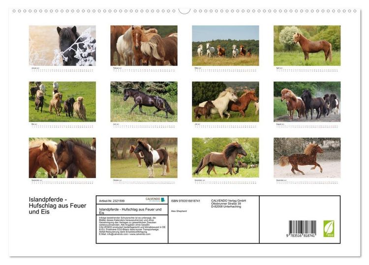 Produktbild: Islandpferde - Hufschlag aus Feuer und Eis (hochwertiger Premium Wandkalender 2027 DIN A2 quer), Kunstdruck in Hochglanz