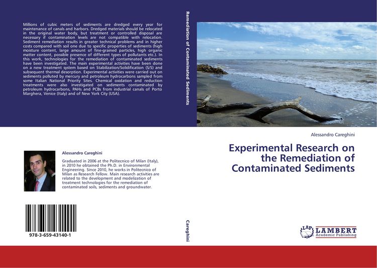 Produktbild: Experimental Research on the Remediation of Contaminated Sediments
