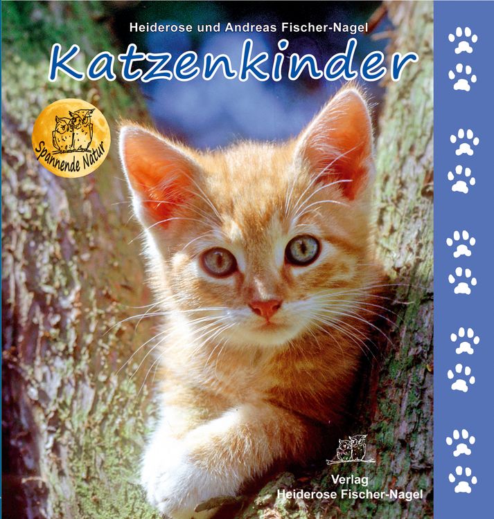 Produktbild: Katzenkinder