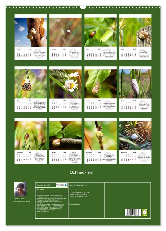 Produktbild: Schnecklein (Wandkalender 2026 DIN A2 hoch), CALVENDO Monatskalender