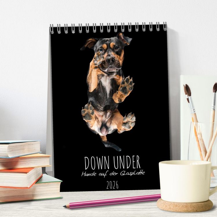 Produktbild: Down Under - Hunde auf der Glasplatte (Tischkalender 2026 DIN A5 hoch), CALVENDO Monatskalender