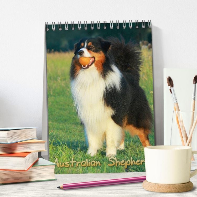 Produktbild: Australian Shepherd (Tischkalender 2026 DIN A5 hoch), CALVENDO Monatskalender