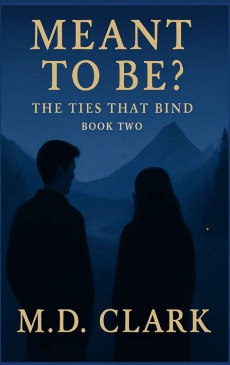 Produktbild: Meant To Be? Book Two