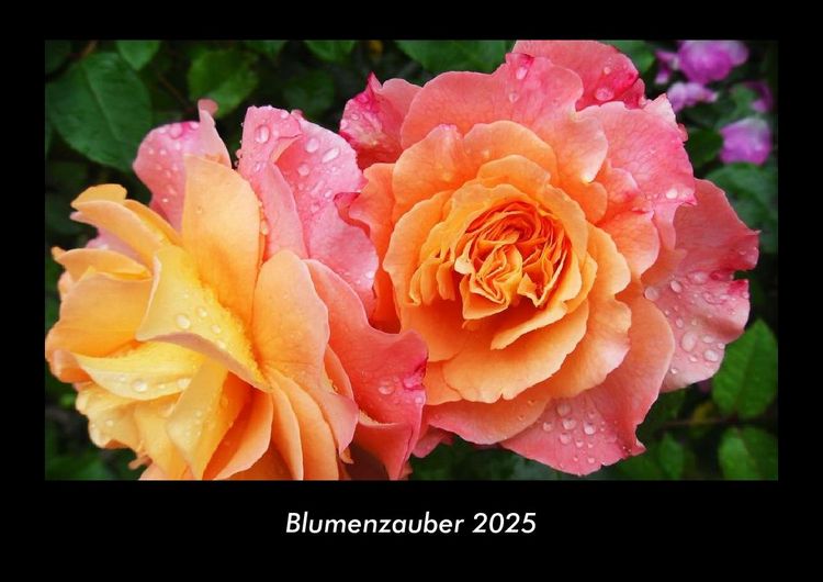 Produktbild: Blumenzauber 2025 Fotokalender DIN A3