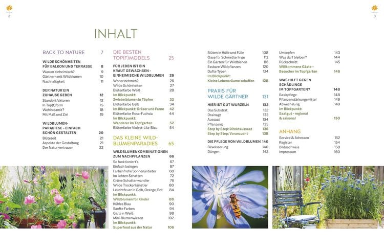 Produktbild: Wildblumen f&uuml;r Balkon und Terrasse