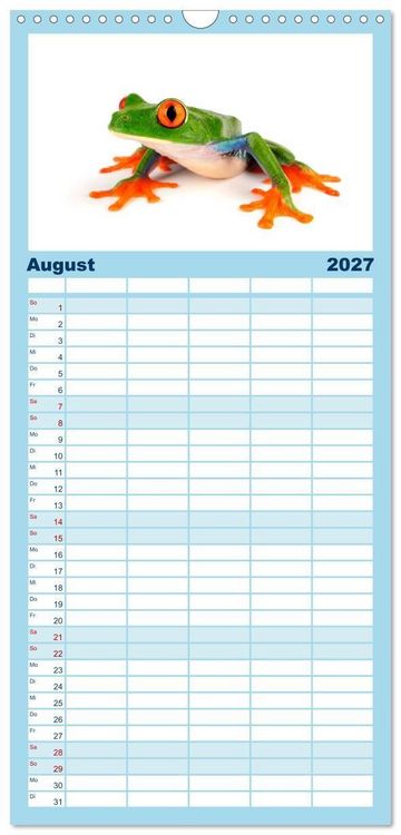 Produktbild: Familienplaner 2027 - Farbenpracht der Fr&ouml;sche mit 5 Spalten (Wandkalender, 21 x 45 cm) CALVENDO