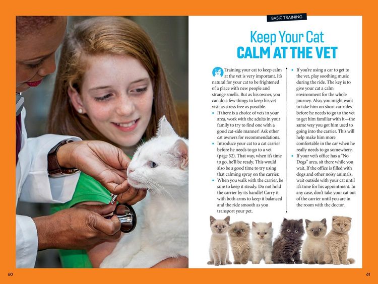 Produktbild: Pounce! a How to Speak Cat Training Guide