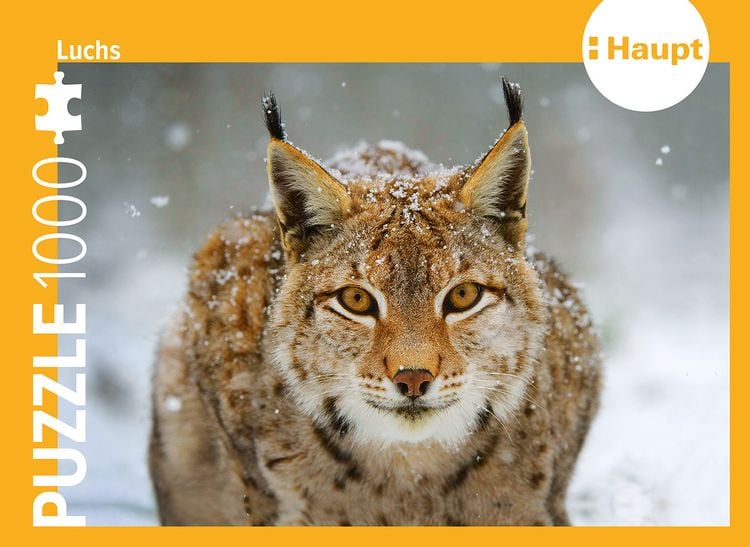 Produktbild: Luchs &ndash; Puzzle