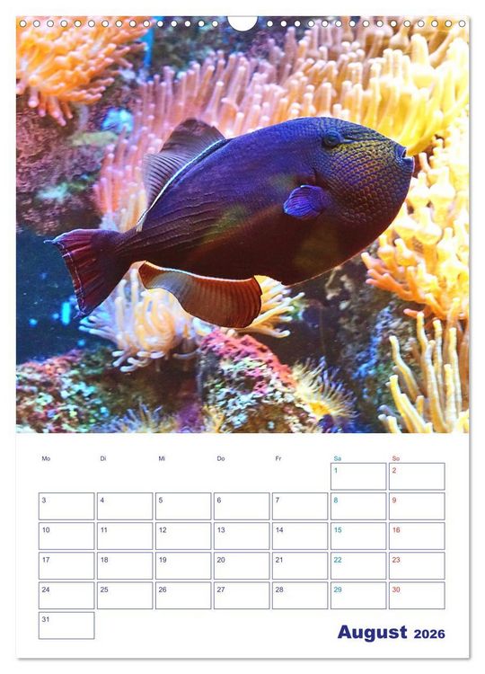 Produktbild: Bunte Meereswelten (Wandkalender 2026 DIN A3 hoch), CALVENDO Monatskalender