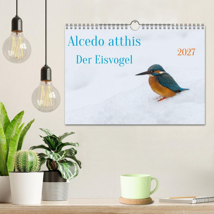 Produktbild: Alcedo atthis. Der Eisvogel (Wandkalender 2027 DIN A4 quer), CALVENDO Monatskalender