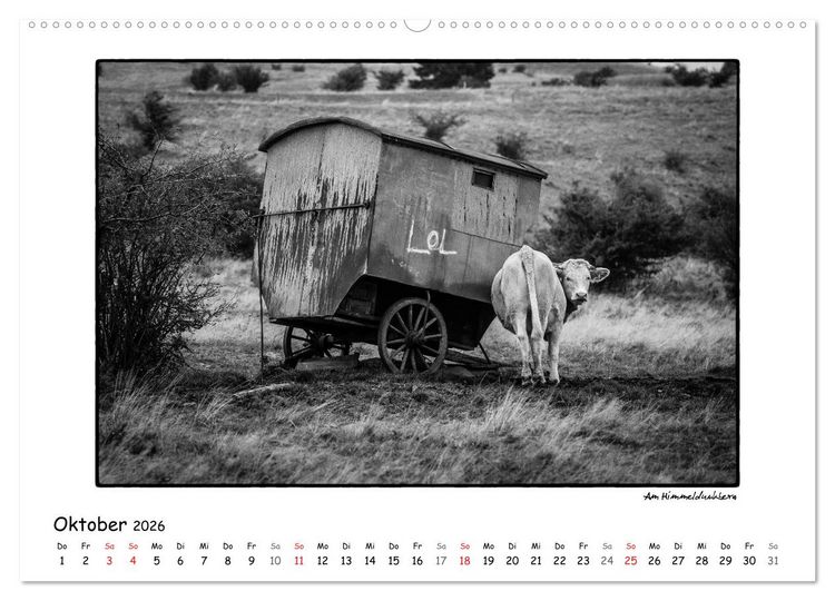 Produktbild: RH&Ouml;N SCHWARZ-WEISS (Wandkalender 2026 DIN A2 quer), CALVENDO Monatskalender