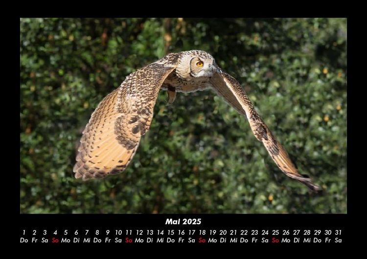 Produktbild: Vogelparadies 2025 Fotokalender DIN A3
