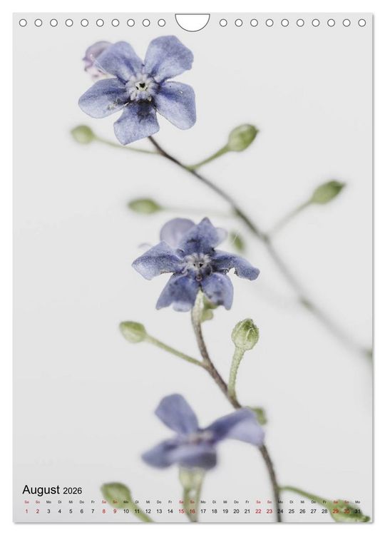 Produktbild: Pure Flowers (Wandkalender 2026 DIN A4 hoch), CALVENDO Monatskalender