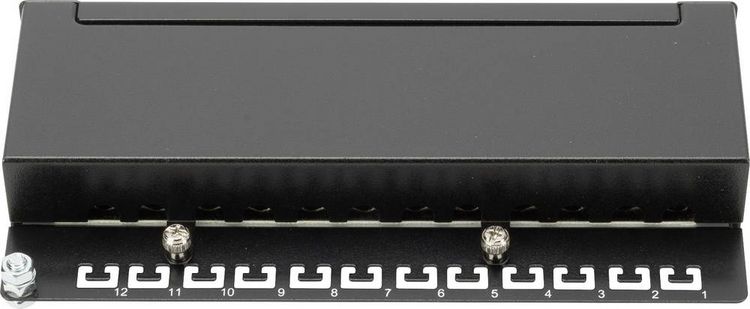 Produktbild: Digitus DN-91612SD-EA 12 Port Netzwerk-Patchbox CAT 6a 1 HE Schwarz (RAL 9005) Best&uuml;ckt