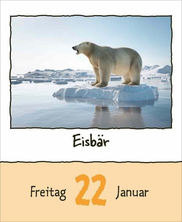 Produktbild: Tierisch unterwegs 2027