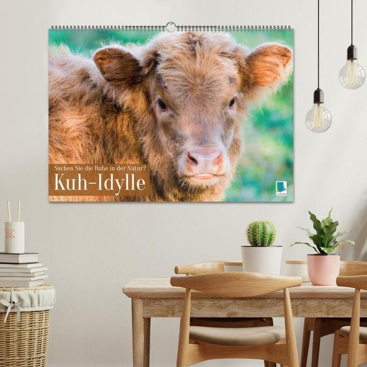 Produktbild: Kuh-Idylle: Suchen Sie die Ruhe in der Natur? (Wandkalender 2026 DIN A2 quer), CALVENDO Monatskalender