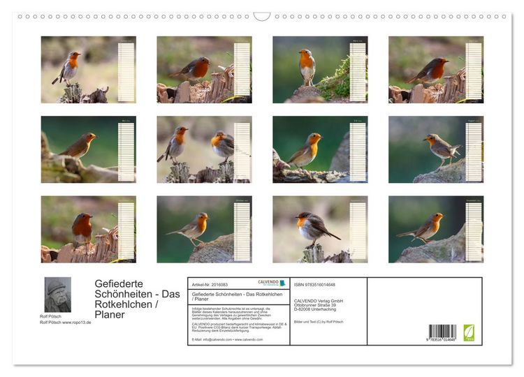 Produktbild: Gefiederte Sch&ouml;nheiten - Das Rotkehlchen / Planer (Wandkalender 2026 DIN A2 quer), CALVENDO Monatskalender