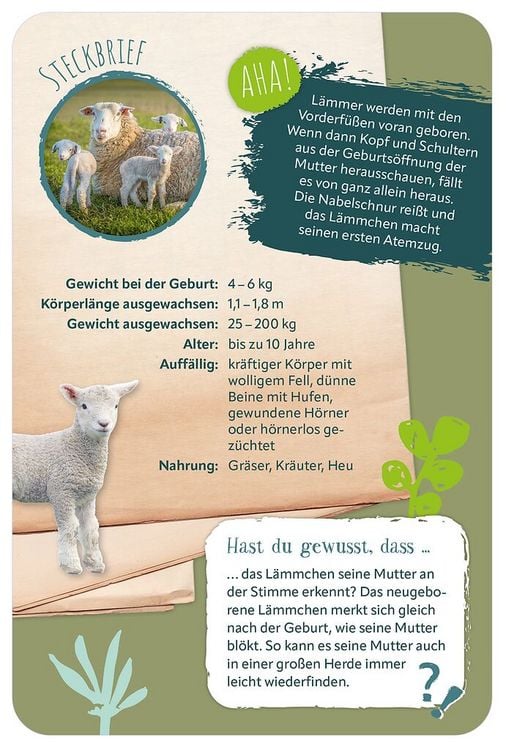 Produktbild: Die 100 s&uuml;&szlig;esten Tierbabys