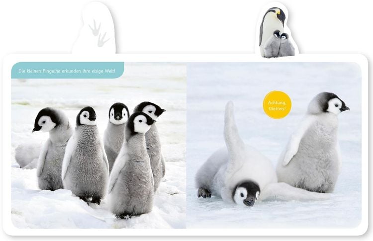 Produktbild: Der Pinguin