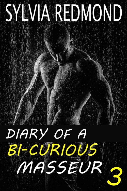 Produktbild: Diary of a Bi-curious Masseur 3