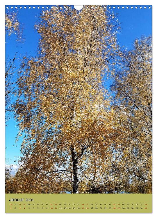 Produktbild: Momente des Herbstes (Wandkalender 2026 DIN A3 hoch), CALVENDO Monatskalender
