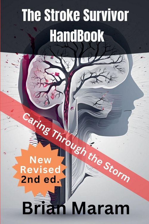 Produktbild: The Stroke Survivor HandBook
