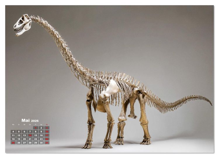 Produktbild: Knochen der Giganten - Dinosaurier im Portr&auml;t (Wandkalender 2026 DIN A2 quer), CALVENDO Monatskalender