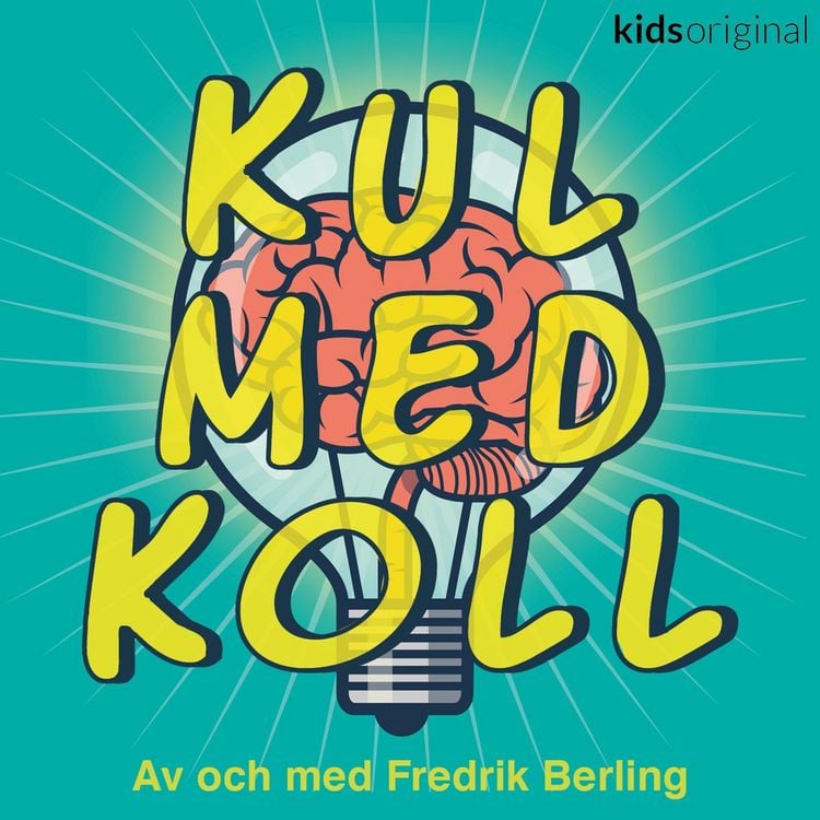 Produktbild: Kul med koll - Ninjor & Samurajer