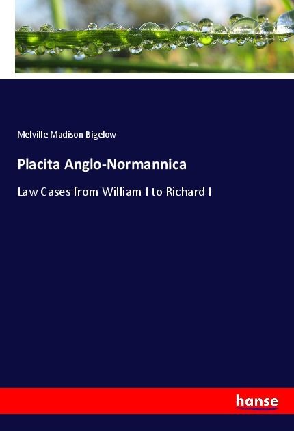Produktbild: Placita Anglo-Normannica
