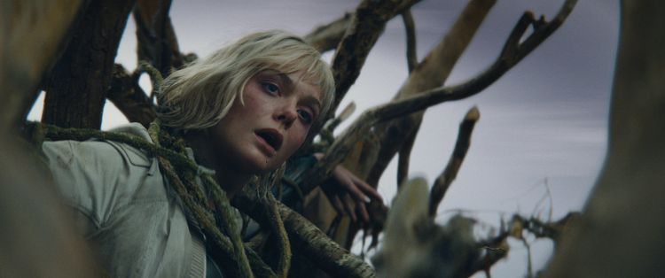 Produktbild: Predator: Badlands