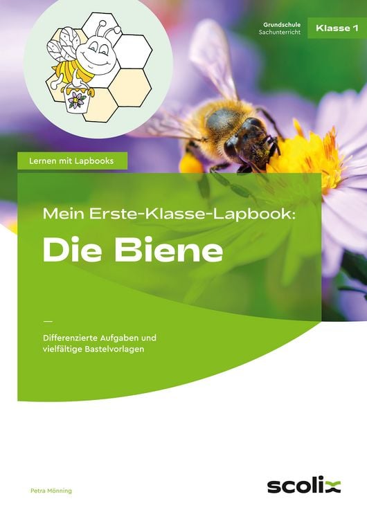 Produktbild: Mein Erste-Klasse-Lapbook: Die Biene