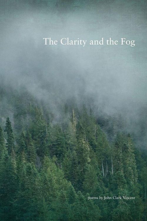 Produktbild: The Clarity and the Fog
