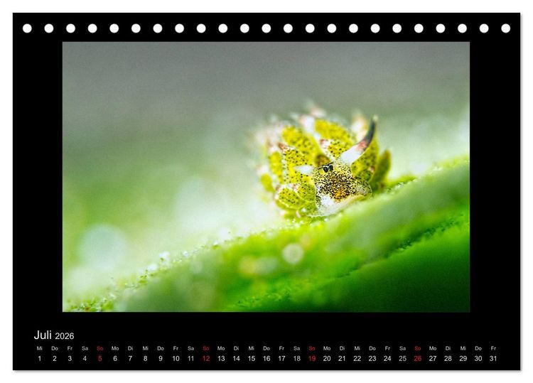 Produktbild: OCEAN - ART (Tischkalender 2026 DIN A5 quer), CALVENDO Monatskalender