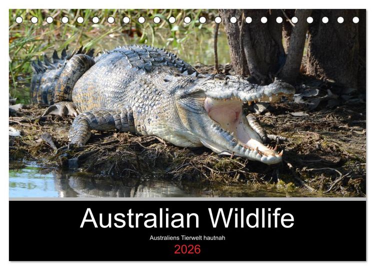 Produktbild: Australian Wildlife (Tischkalender 2026 DIN A5 quer), CALVENDO Monatskalender