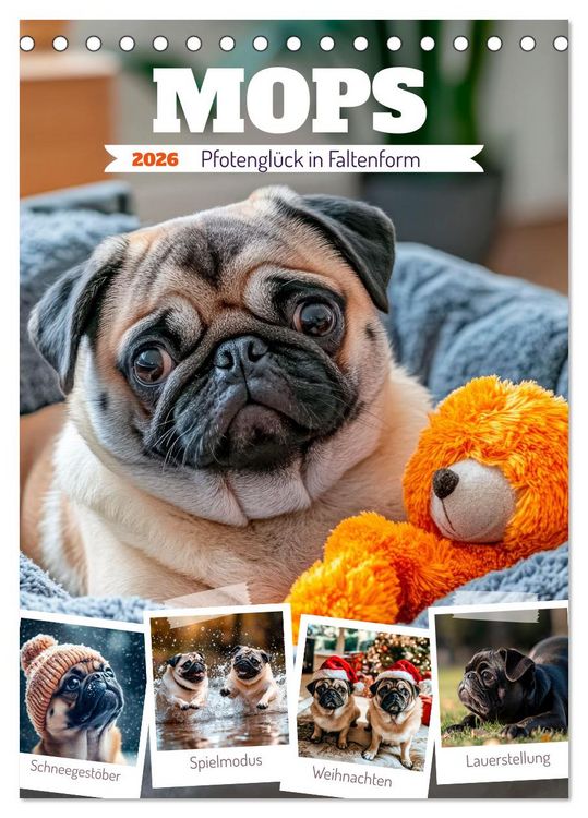 Produktbild: MOPS Pfotengl&uuml;ck in Faltenform (Tischkalender 2026 DIN A5 hoch), CALVENDO Monatskalender