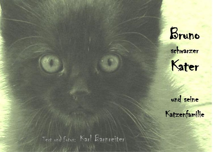 Produktbild: Bruno schwarzer Kater